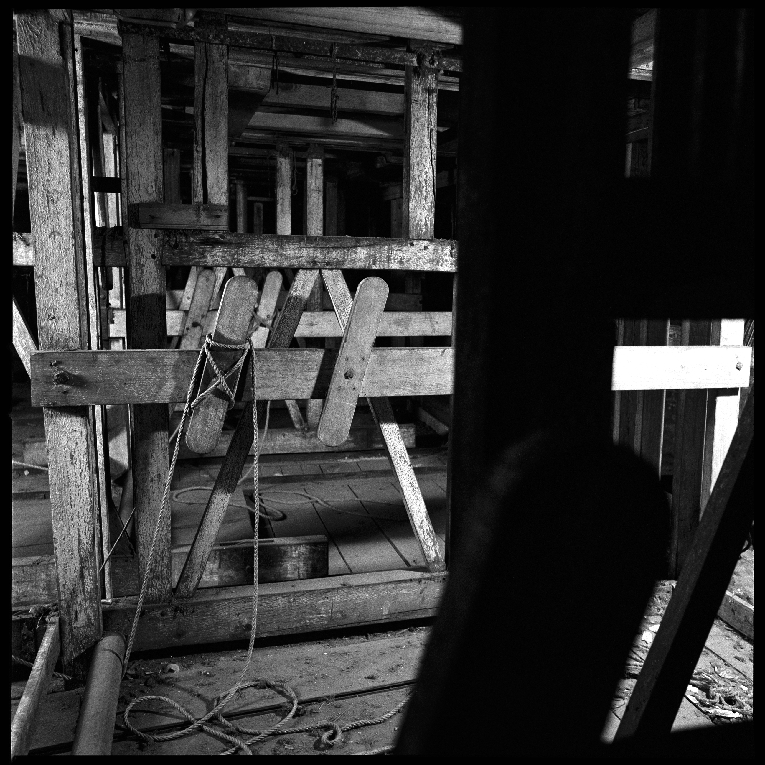 11,Picture 019 - Photographie de Forêts dévastées par André Soupart